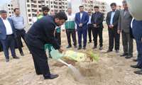 برگزاری مراسم روز درختکاری در بندرعباس با کاشت 250 اصله درخت بومی 