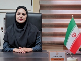 راهاندازی سامانه شهروندی سمیع برای پرداخت آنلاین عوارض خودرو در بندرعباس