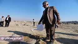 کاشت هزار اصل نهال بومی در بندرعباس