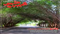 خبرنامه چندرسانه ای گمبرون شهر سال سوم/شماره 113/هفته دوم آذر ماه ۱۴۰۲