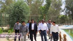 نصب سیستم خنک‌کننده در باغ پرندگان/ توسعه پارک طبیعت در دستور کار قرار دارد