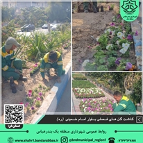 طراوت پاییزی در منطقه یک با کاشت ۸۶۰ اصله گل اطلسی